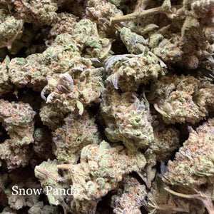 Snow Panda