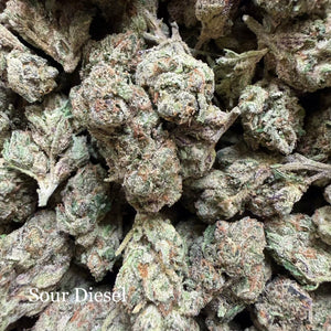 Indoor Sour Diesel Exotics