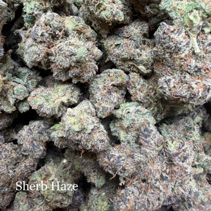 Indoor Sherb Haze Exotics