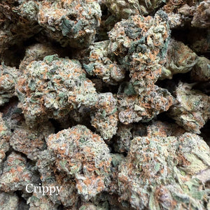 Indoor Crippy - Super Exotics