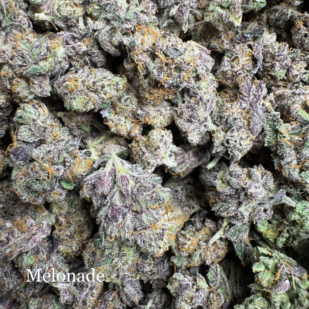 Indoor Melonade - Exotics