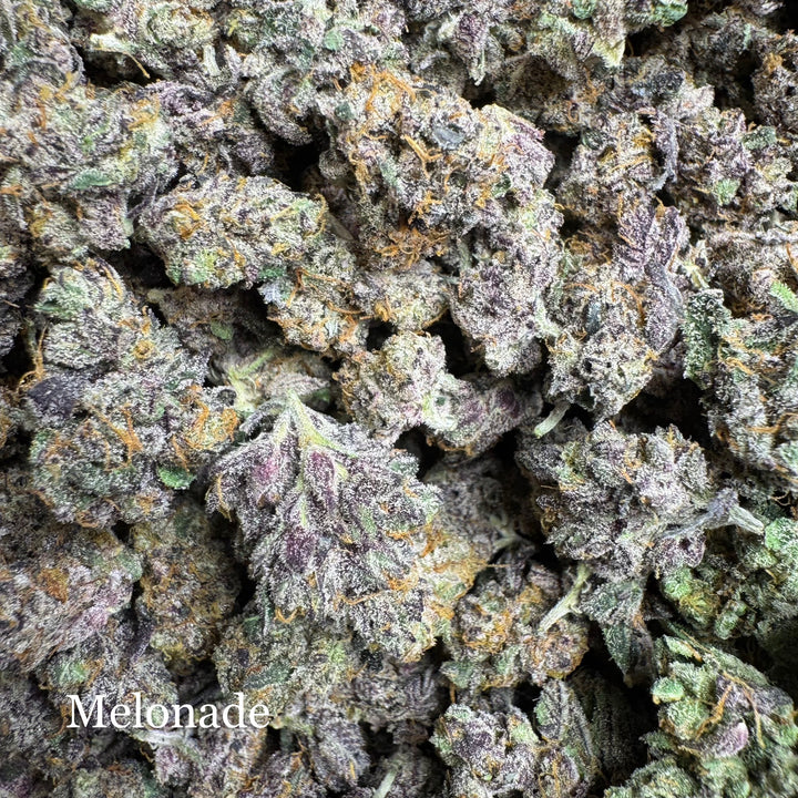 Indoor Melonade - Exotics