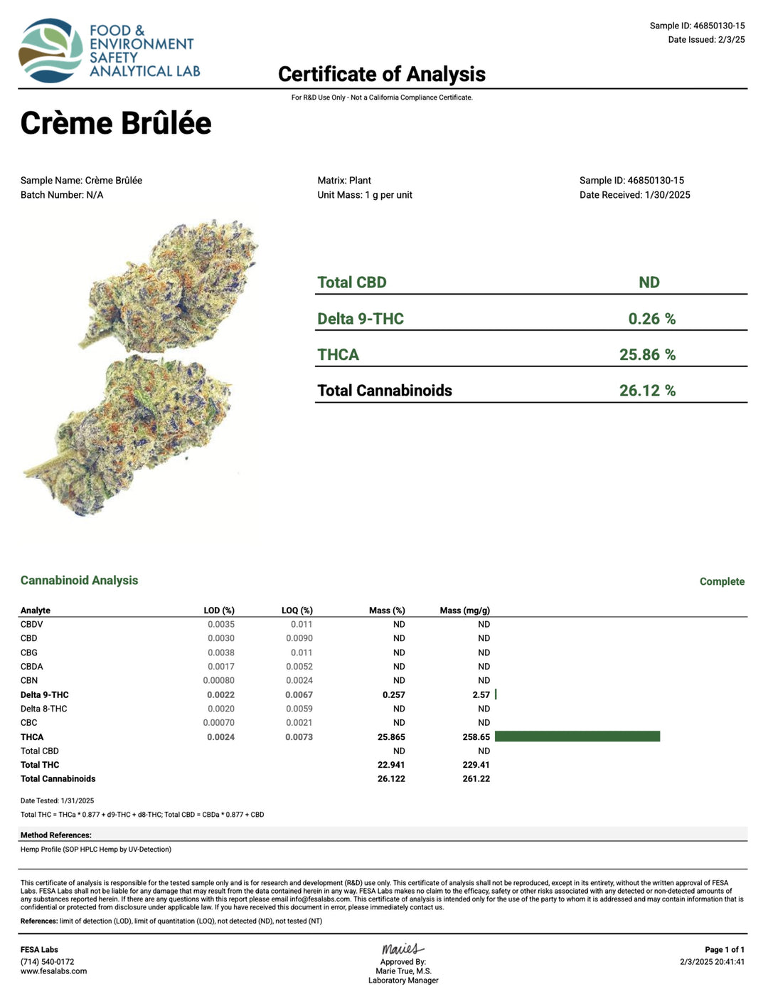 Indoor Creme Brulee - Super Exotics