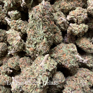 Indoor Lemon Cherry Gelato