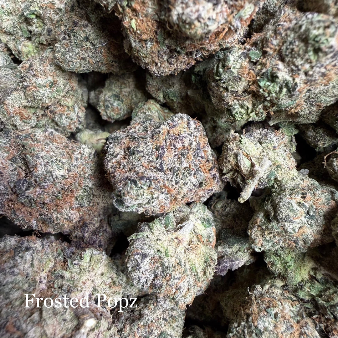 Indoor Frosted Pop - Exotics