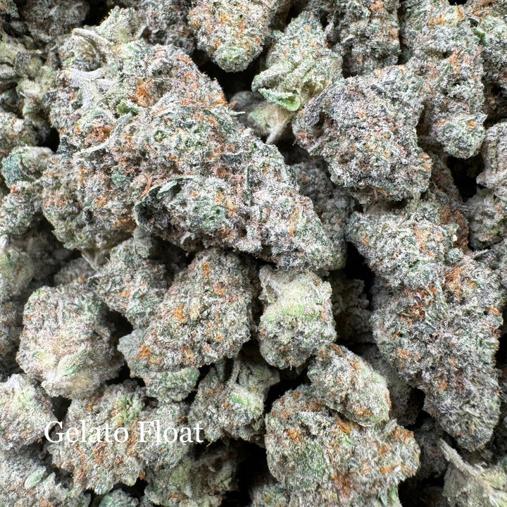 Indoor Gelato Float - Exotics