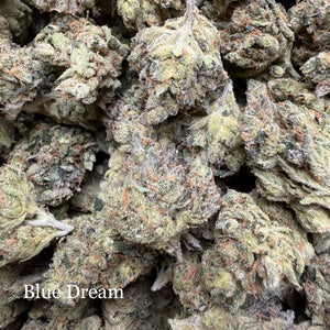 Indoor Blue Dream - Super Exotics