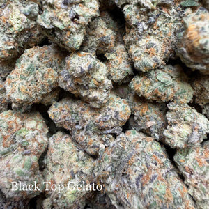 Indoor Black Top Gelato - Super Exotics