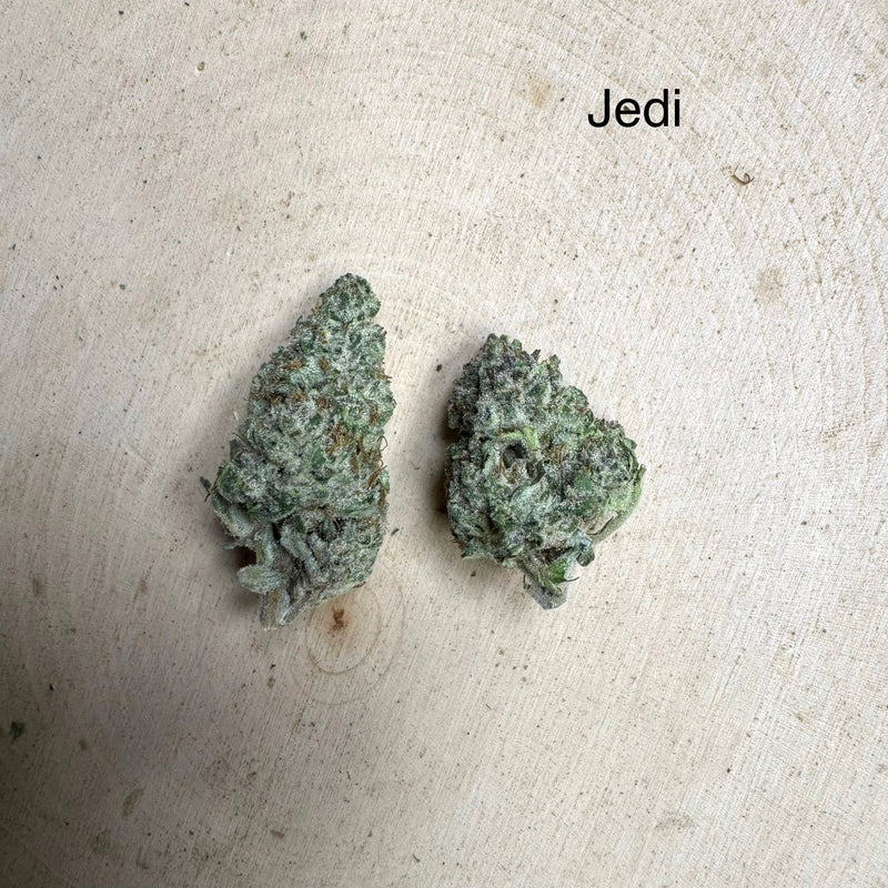 Indoor Jedi