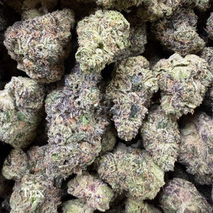 Indoor Trix - Super Exotics