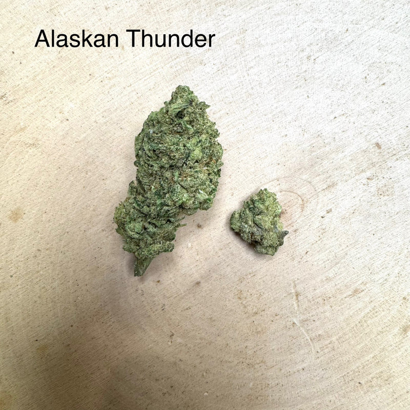 Indoor Alaskan Thunder