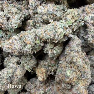 Indoor Hawg - Super Exotics