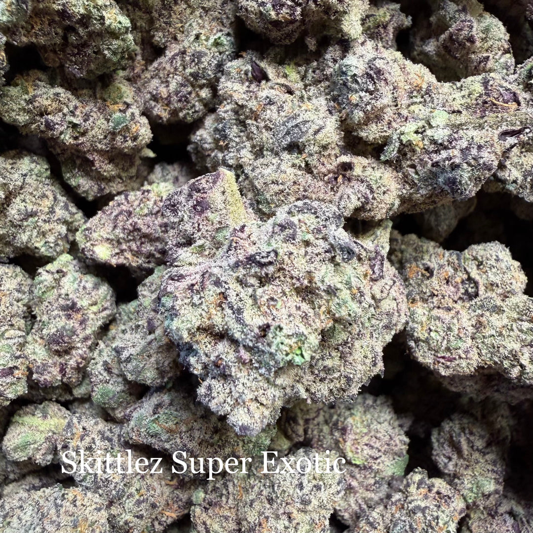 Indoor Zkittles - Super Exotics