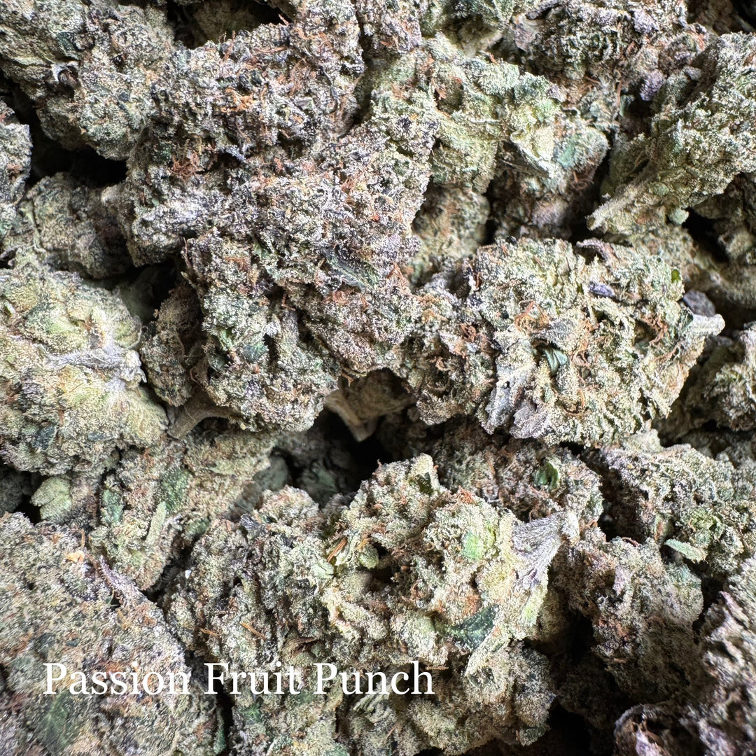 Indoor Passion Fruit Punch - Exotics