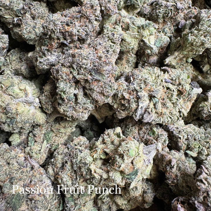 Indoor Passion Fruit Punch - Exotics
