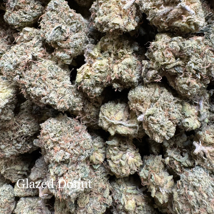Indoor Glazed Donut - Exotics