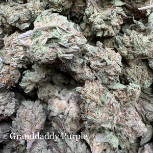 Grand Daddy Purple