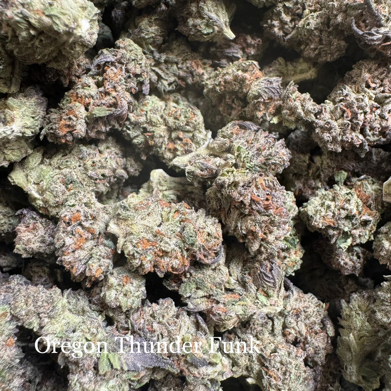 Oregon Thunder Funk