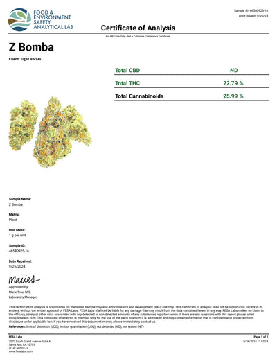 Indoor Z Bomba