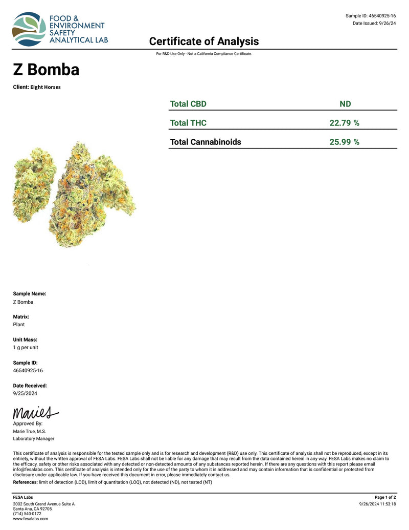 Indoor Z Bomba