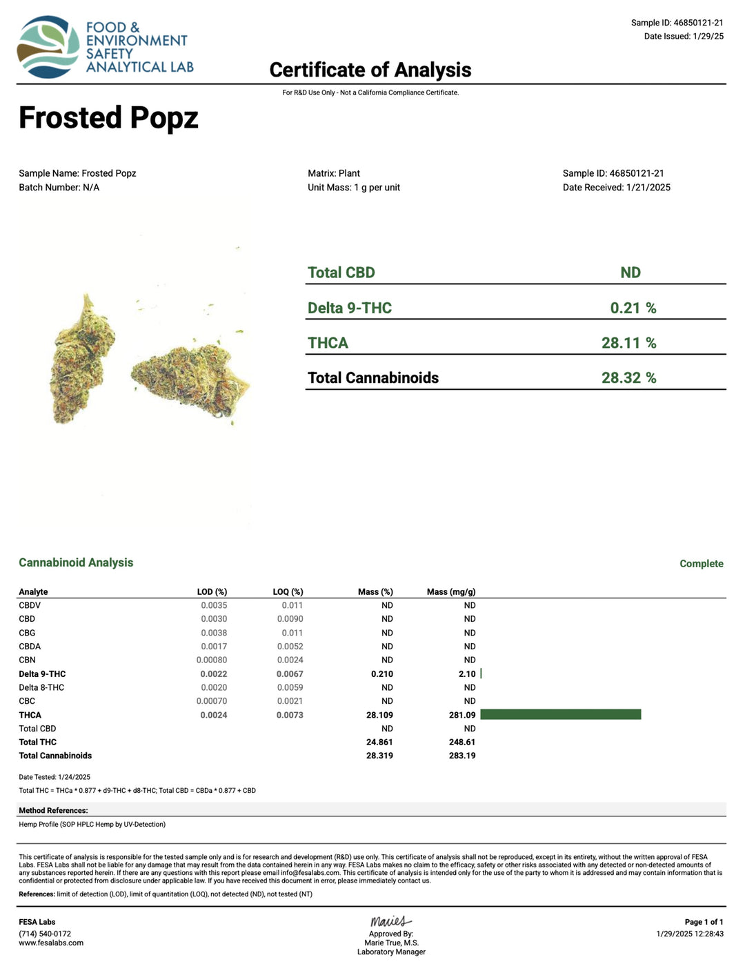 Indoor Frosted Pop - Exotics