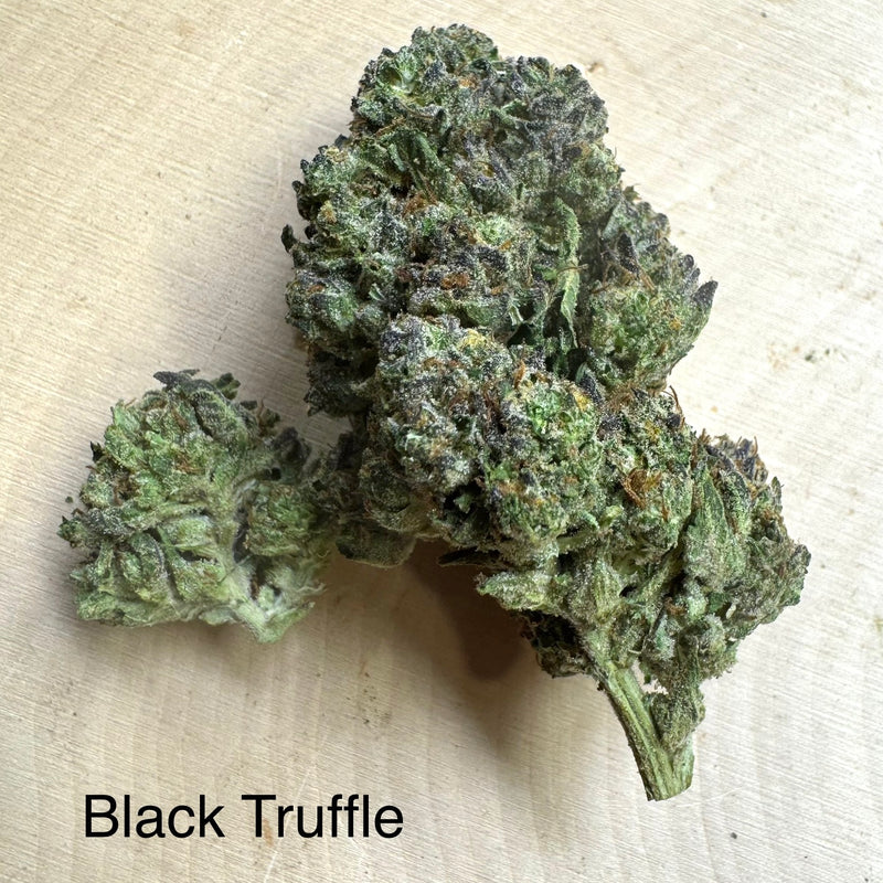 Indoor Black Truffle