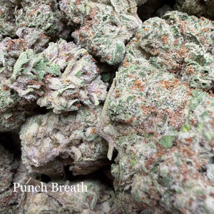 Indoor Punch Breath