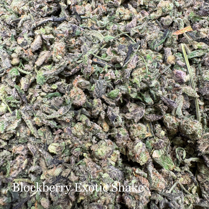 Indoor Blockberry Exotic Shake