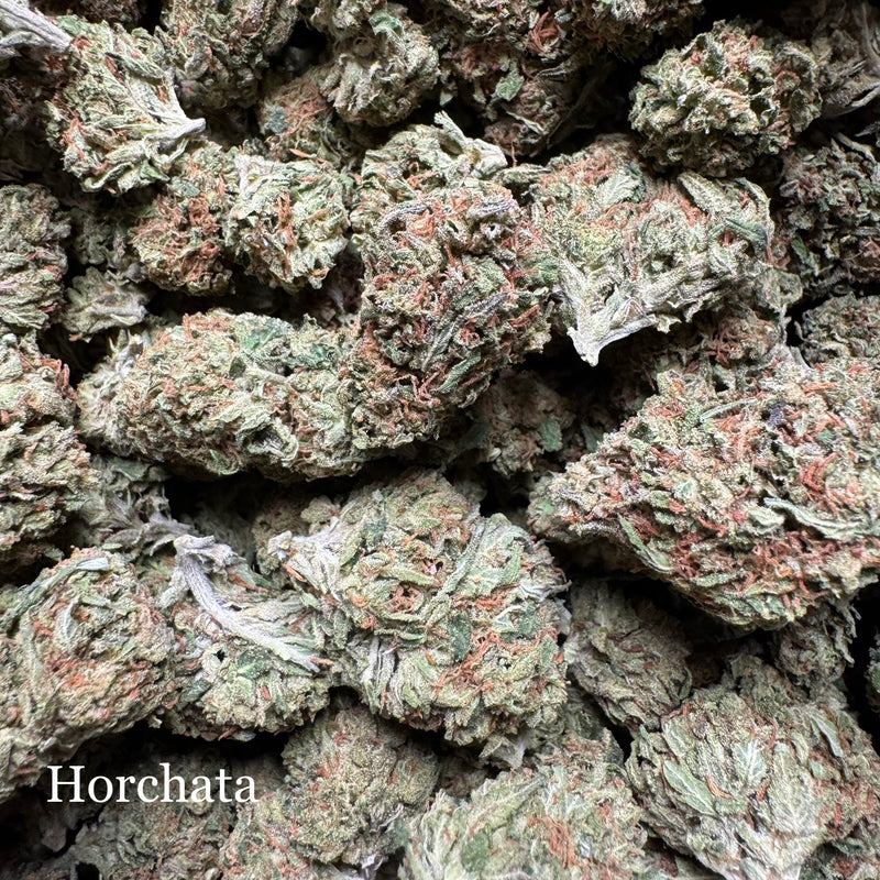 Indoor Horchata