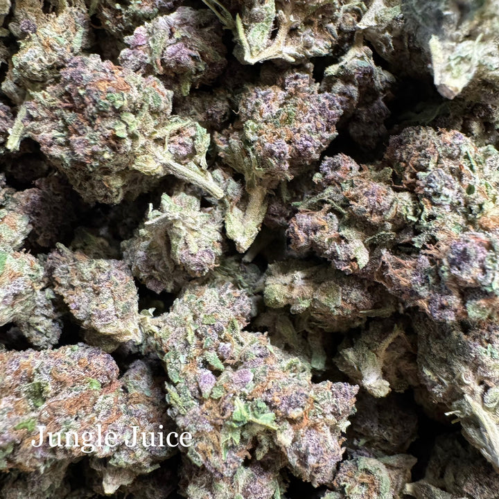 Indoor Jungle Juice