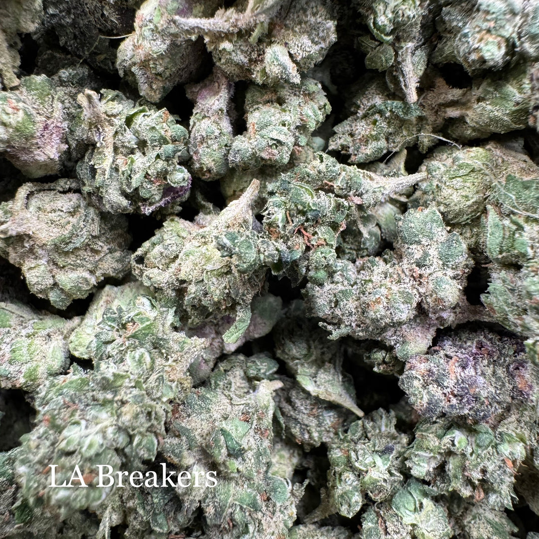 Indoor LA Breakers