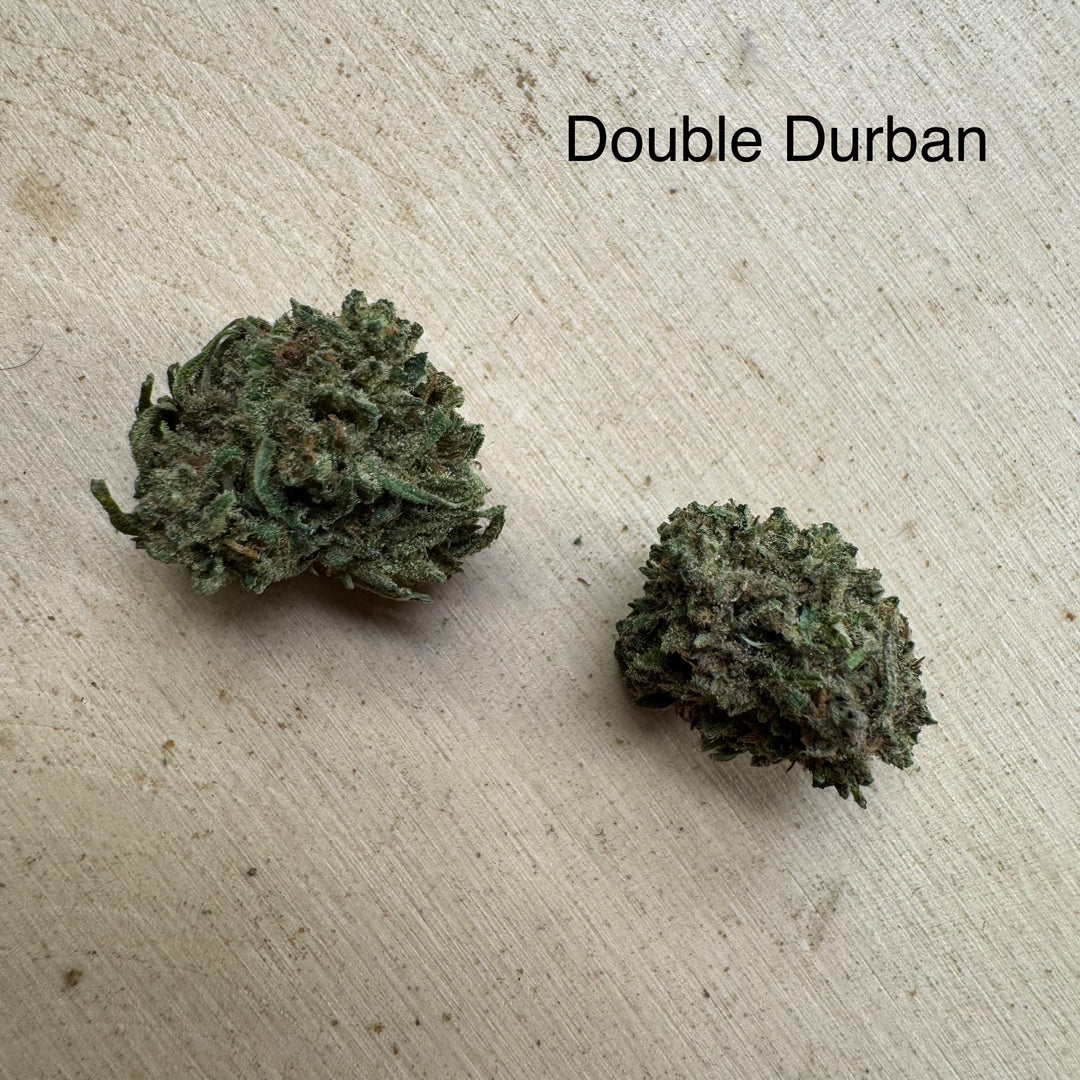 Double Durban  THCv