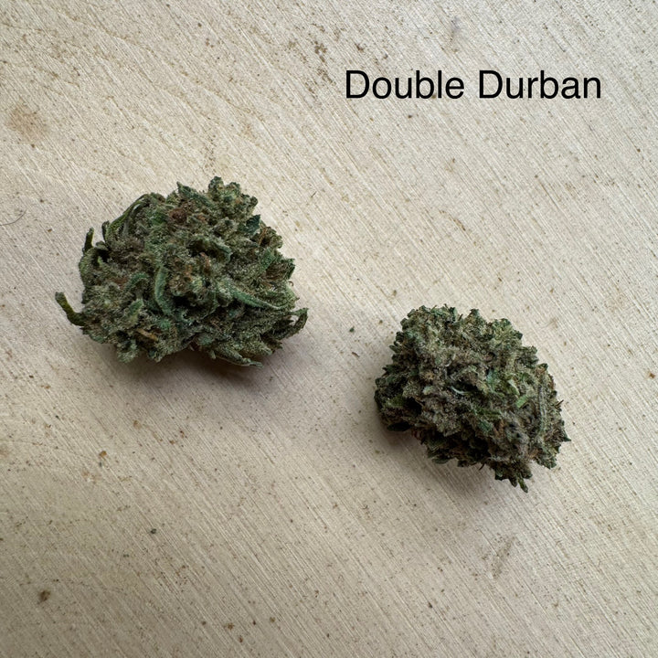 Double Durban  THCv