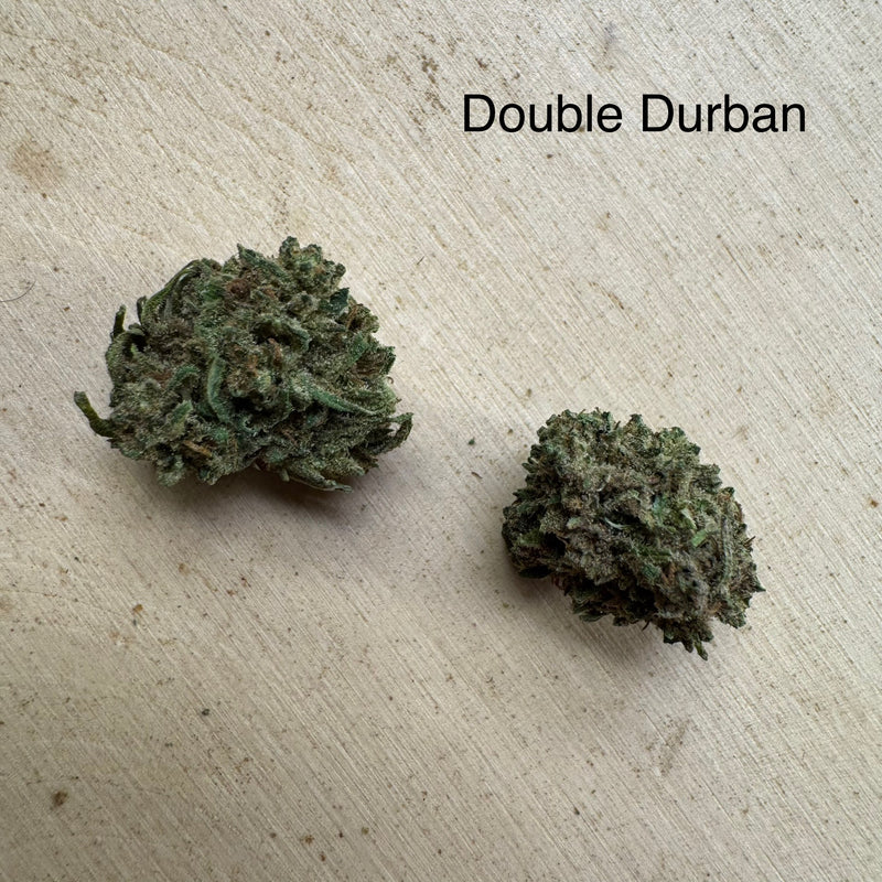 Double Durban