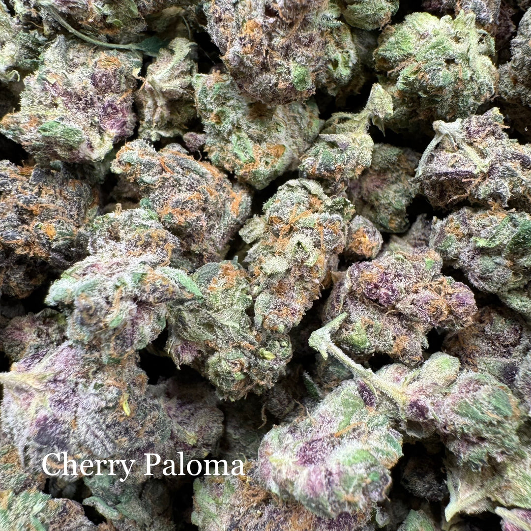 Indoor Cherry Paloma Exotics