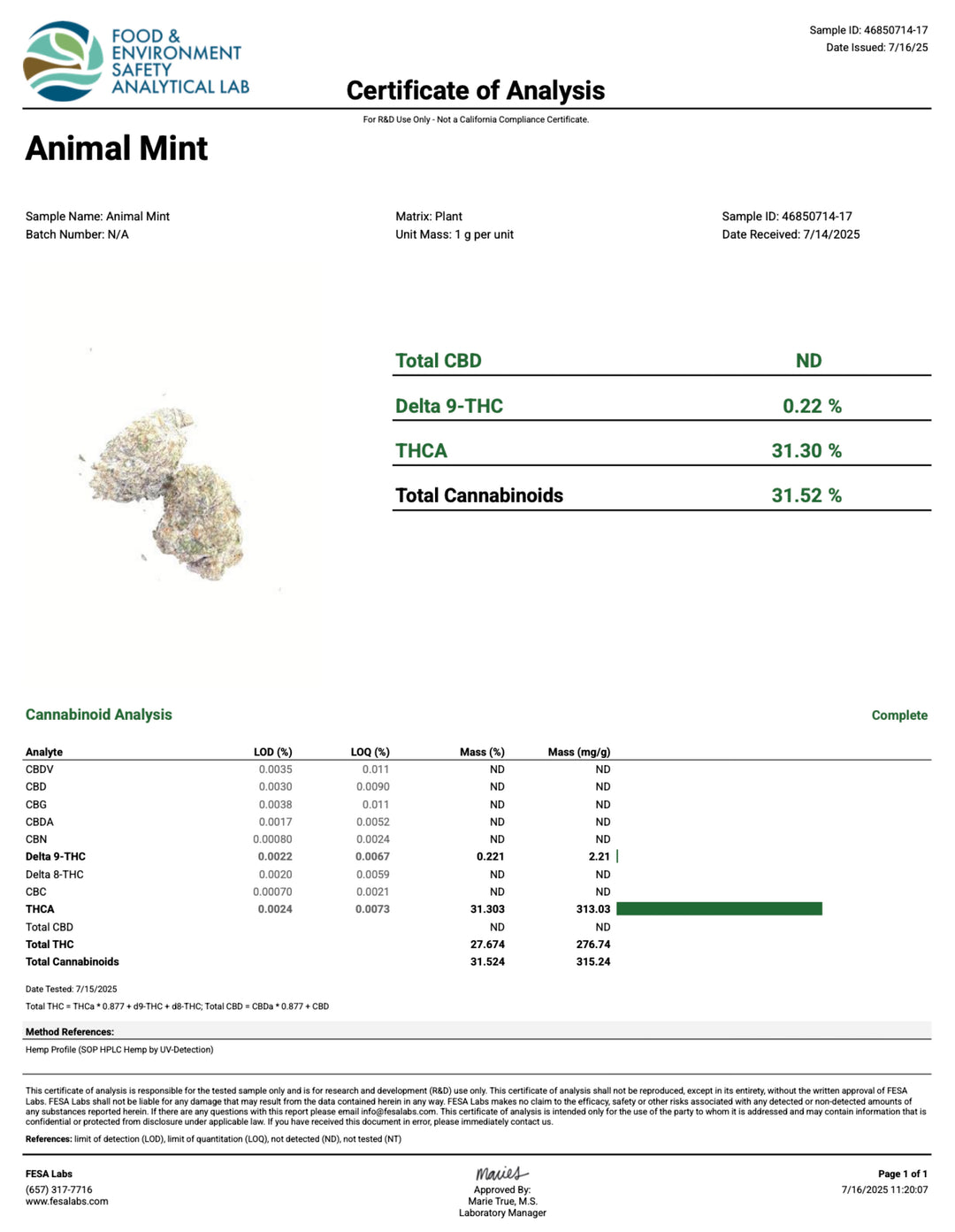 Indoor Animal Mints Exotics