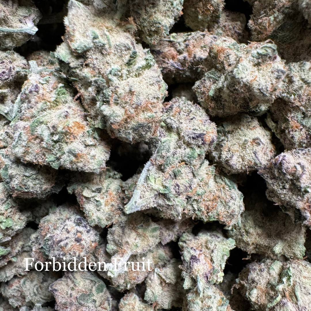 Indoor Forbidden Fruit - Exotics