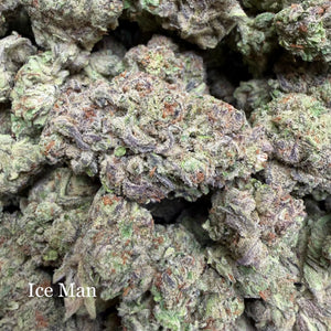 Indoor Ice Man - Super Exotics