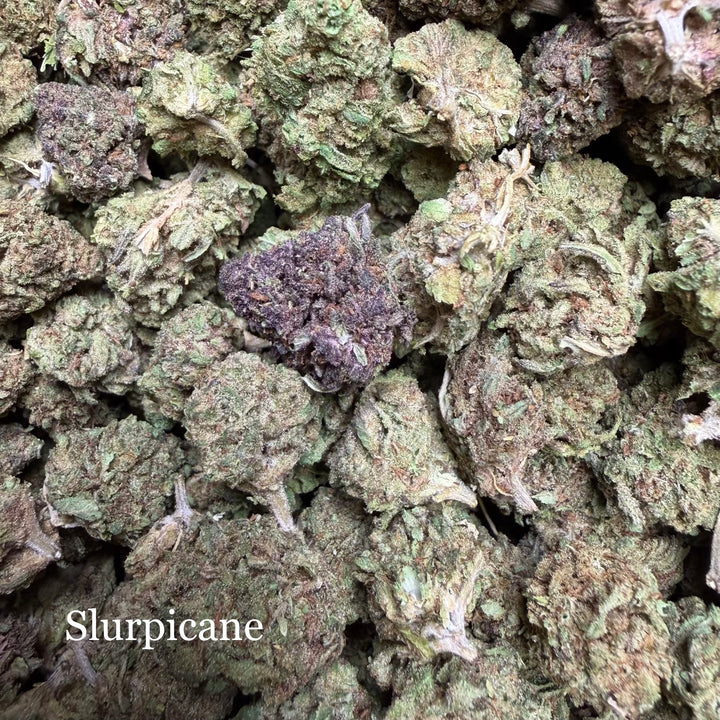 Slurpicane