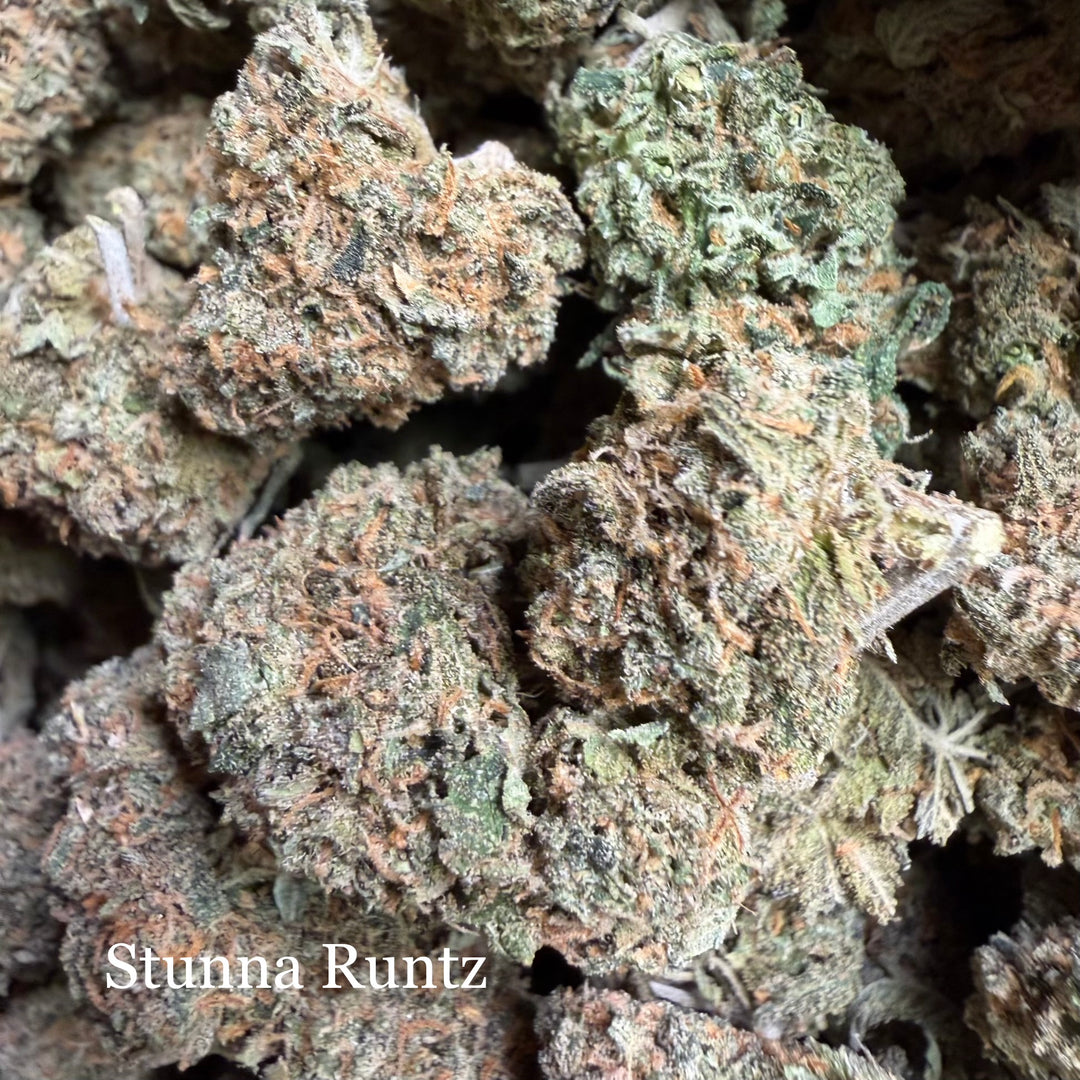 Indoor Stunna Runtz - Exotics