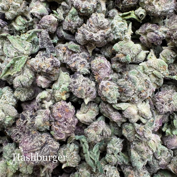 Indoor Hashburger - Exotics