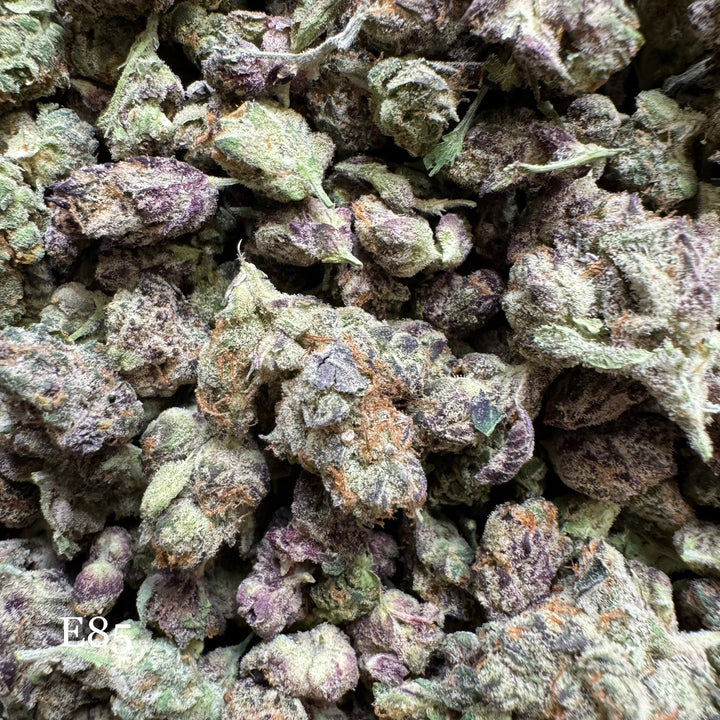 Indoor E85 Exotics