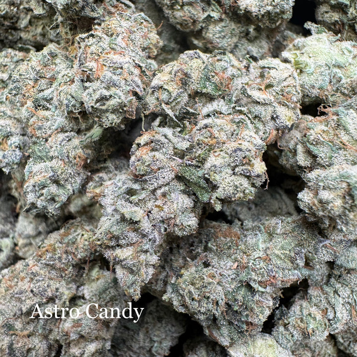 Indoor Astro Candy - Exotics