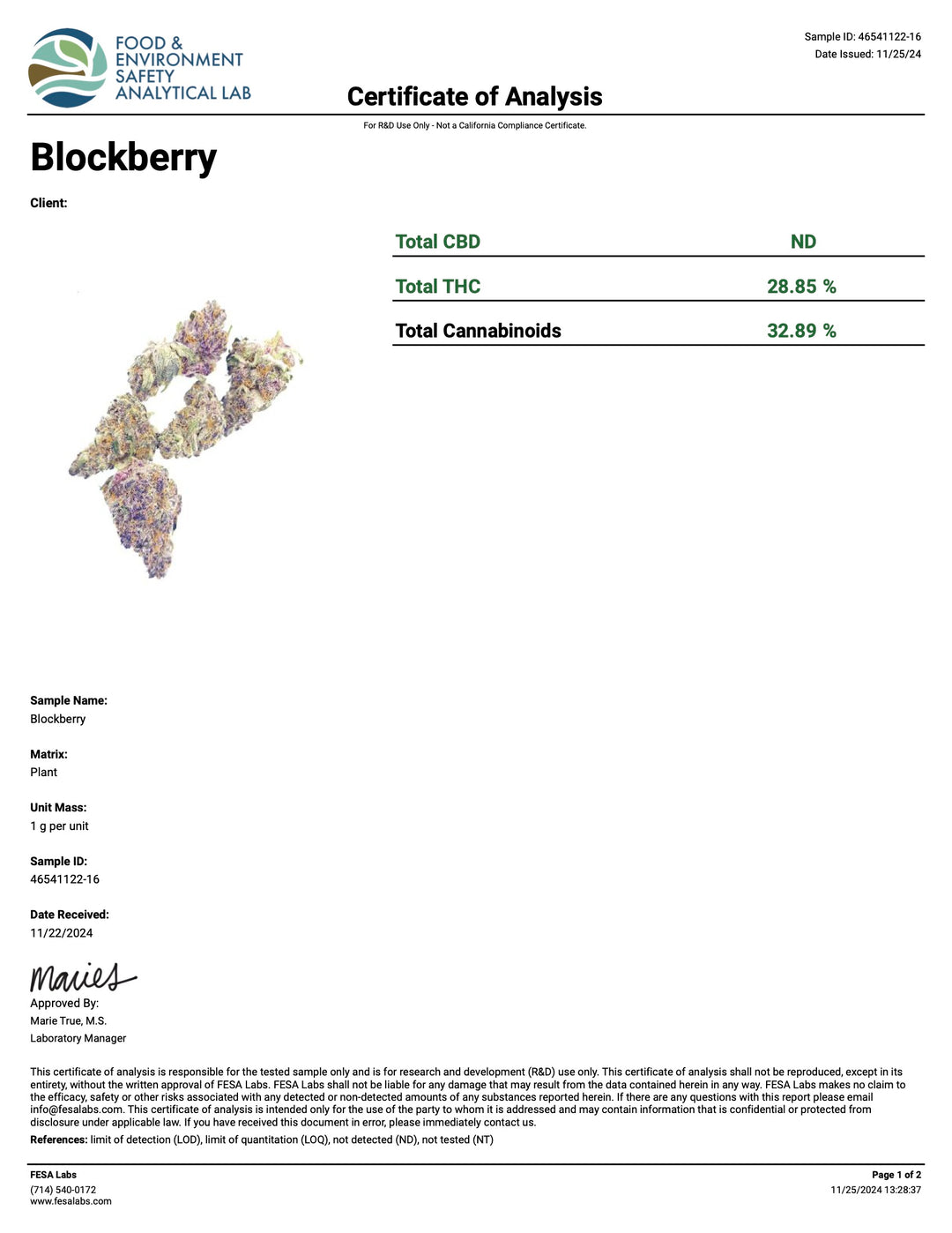 Indoor Blockberry Exotic Shake