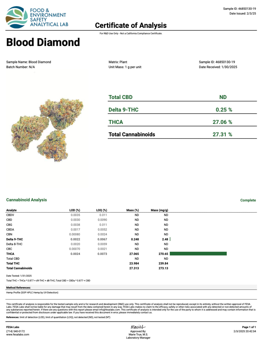 Indoor Blood Diamond Exotics