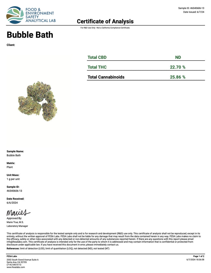 Indoor Bubble Bath