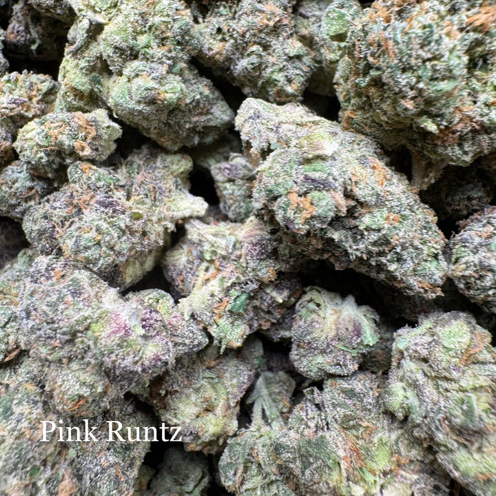 Indoor Pink Runtz - Exotics