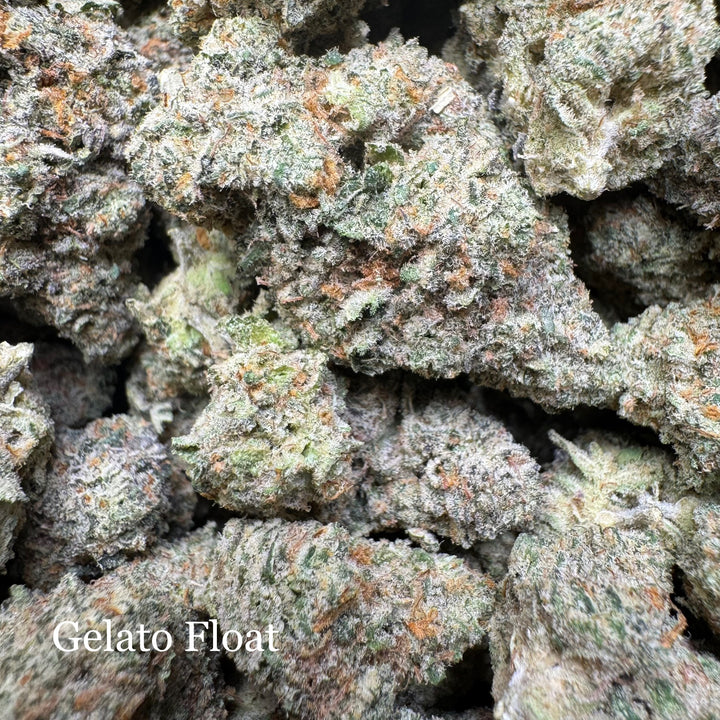 Indoor Gelato Float - Exotics