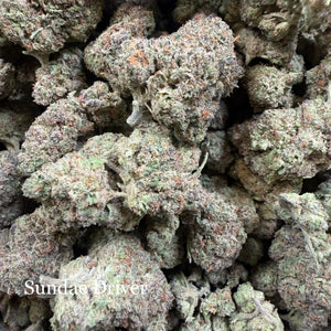 Indoor Sundae Driver Exotics