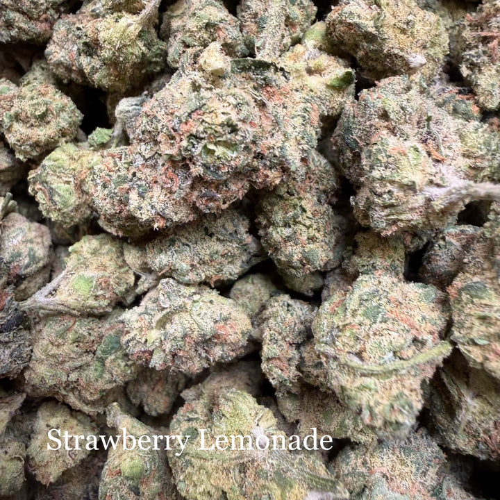 Indoor Strawberry Lemonade - Exotics